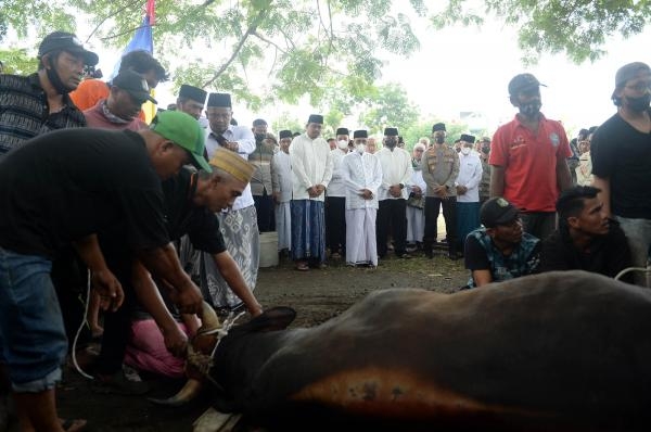 Salat Iduladha Bersama Warga Medan dan Sekitarnya, Edy Rahmayadi: Semoga Warga Sumut Senantiasa Mendapat Keberkahan